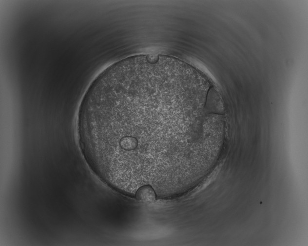 X0000100901087200807151113