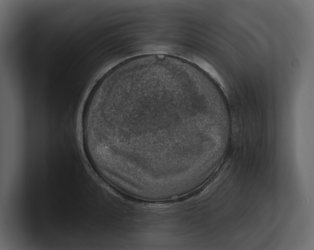 X0000100901088200807151113