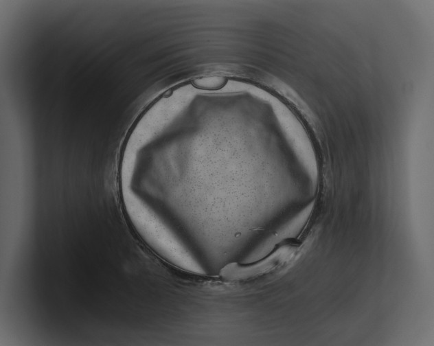 X0000100901089200807151113