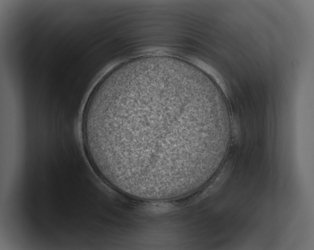 X0000100901090200807151113