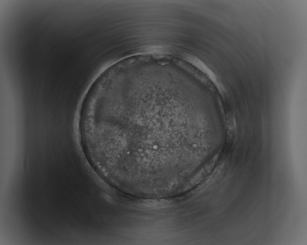 X0000100901091200807151113