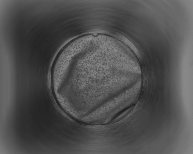 X0000100901092200807151113