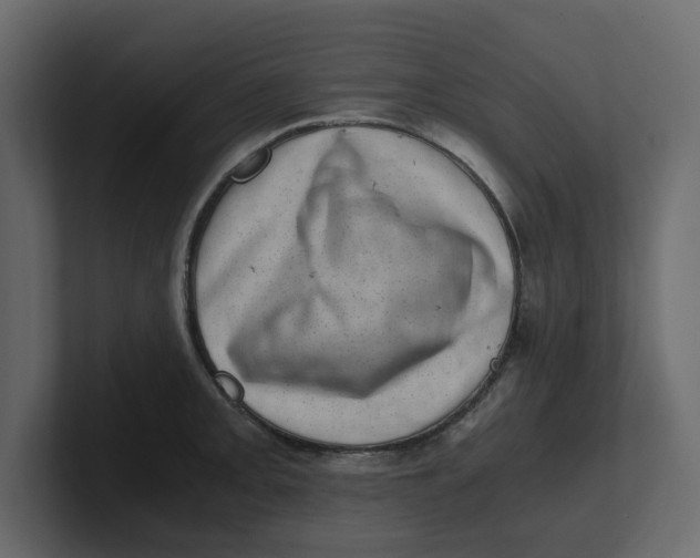 X0000100901093200807151113