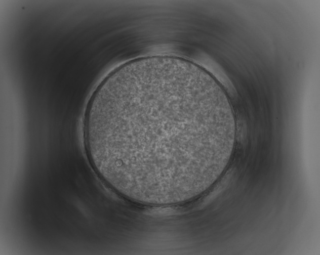 X0000100901094200807151113