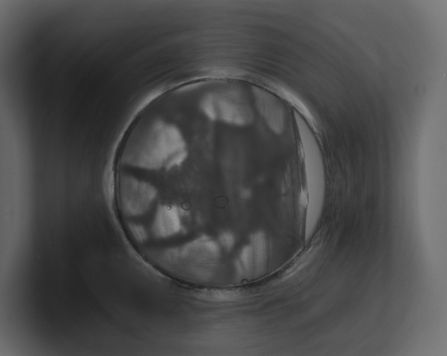 X0000100901095200807151113