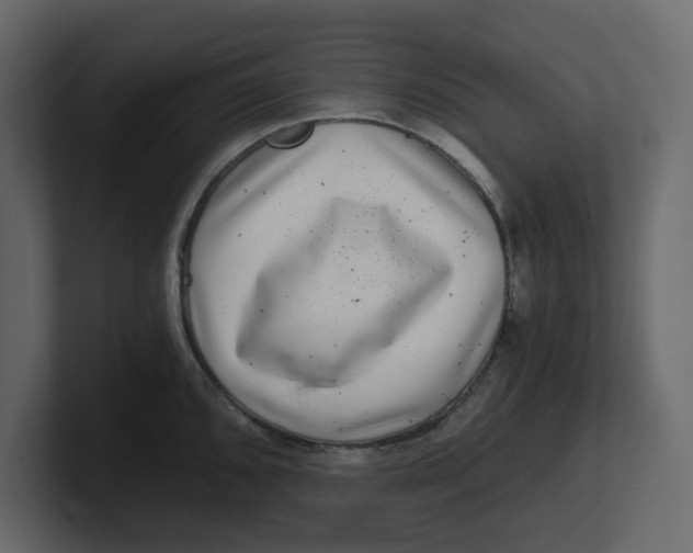 X0000100901096200807151113