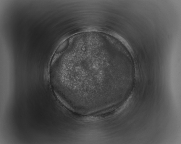 X0000100901097200807151113