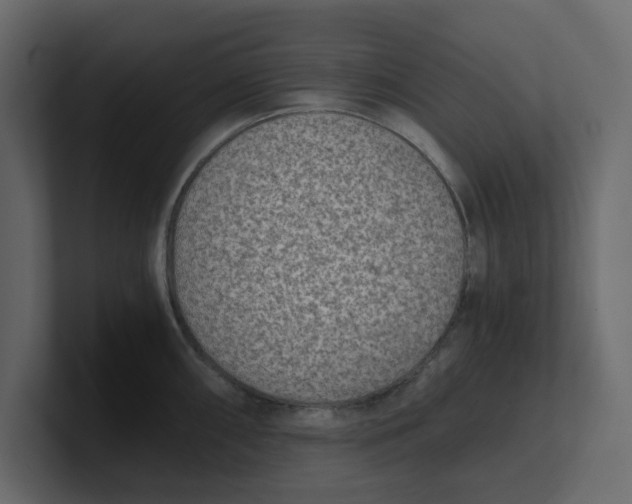 X0000100901098200807151113