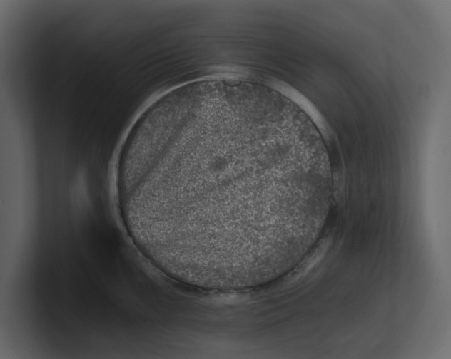 X0000100901099200807151113