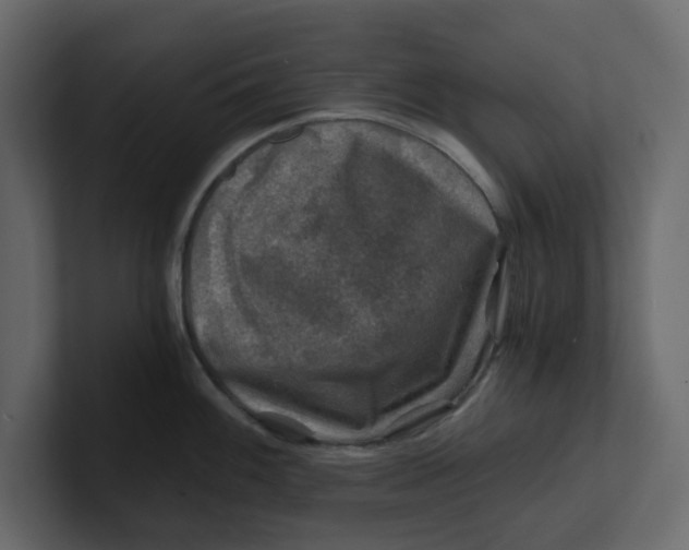 X0000100901100200807151113