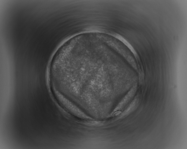 X0000100901101200807151113