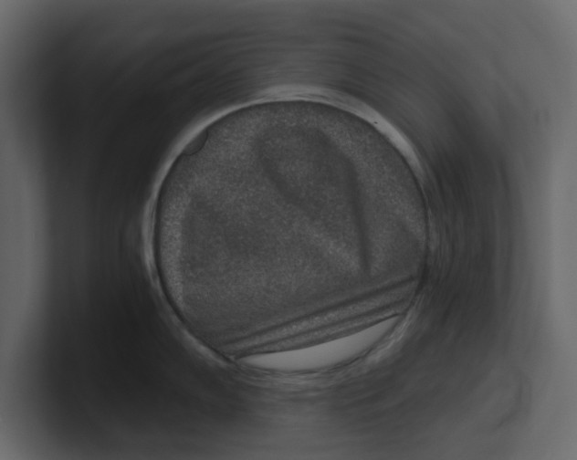 X0000100901102200807151113