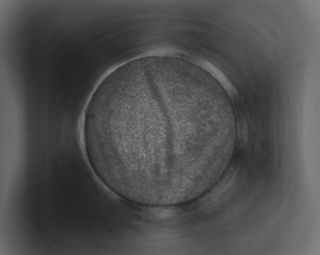 X0000100901103200807151113