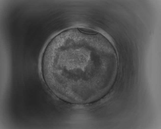 X0000100901104200807151113