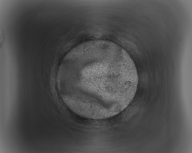 X0000100901105200807151112