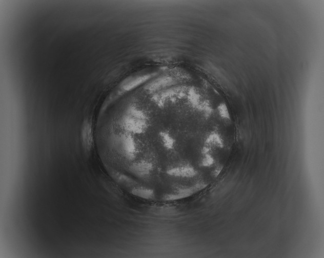 X0000100901106200807151112