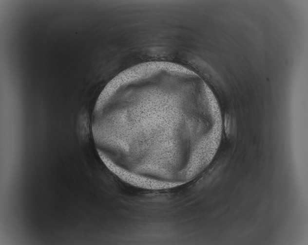 X0000100901107200807151112