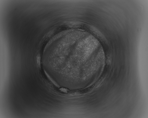 X0000100901108200807151112