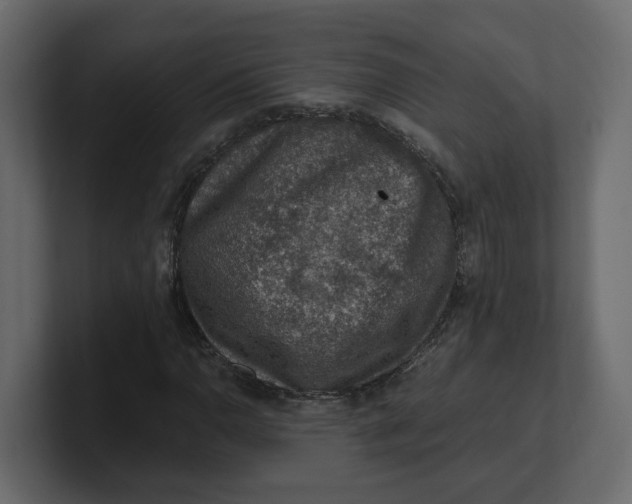 X0000100901110200807151112