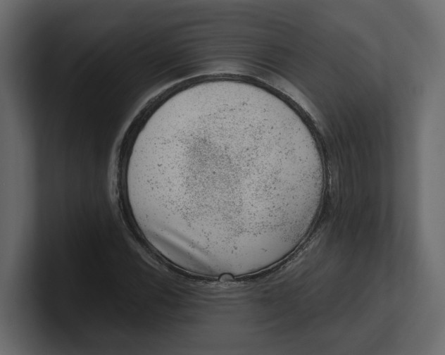 X0000100901116200807151112