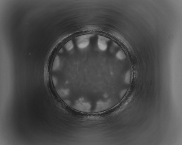 X0000100901117200807151112