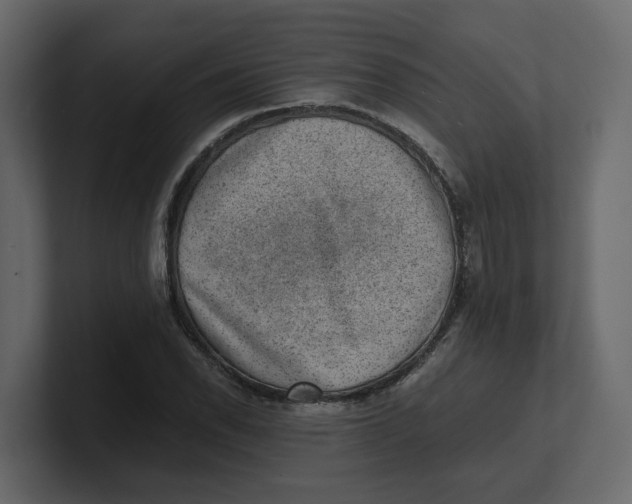 X0000100901118200807151112