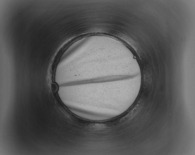 X0000100901119200807151112