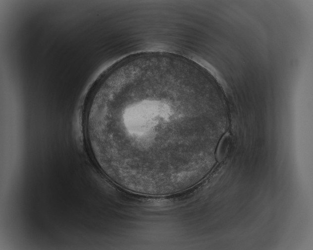 X0000100901120200807151112