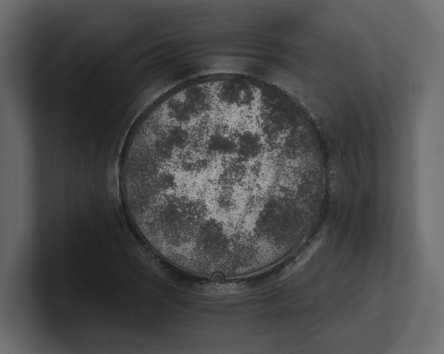 X0000100901121200807151112