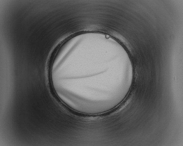 X0000100901122200807151112