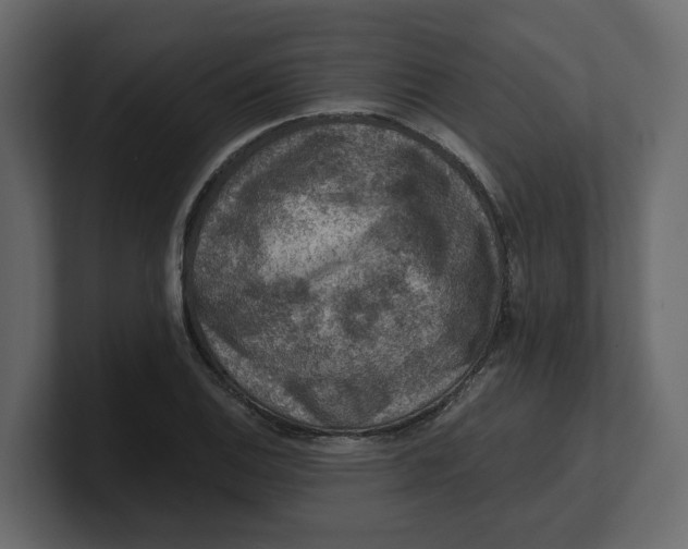 X0000100901124200807151112