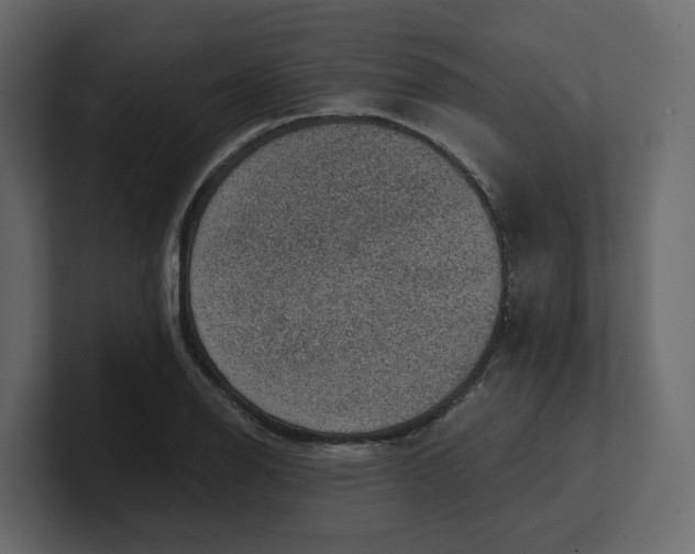 X0000100901126200807151112