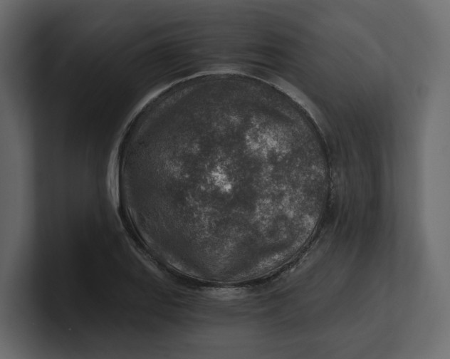 X0000100901127200807151112