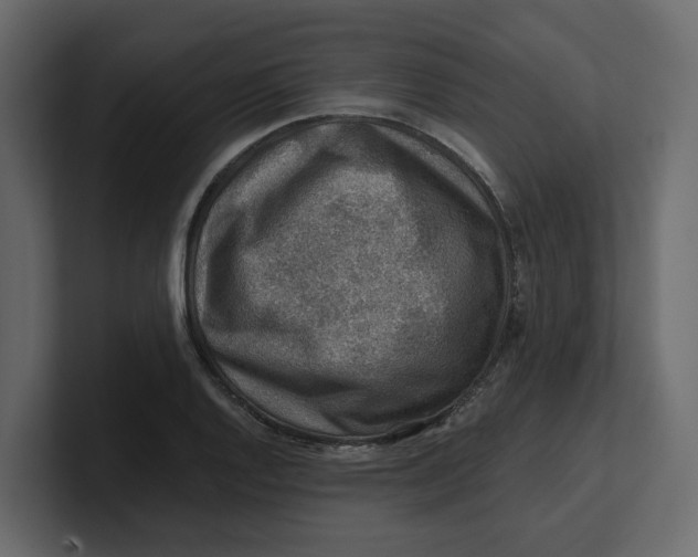 X0000100901128200807151112