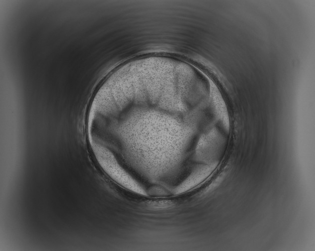 X0000100901129200807151112