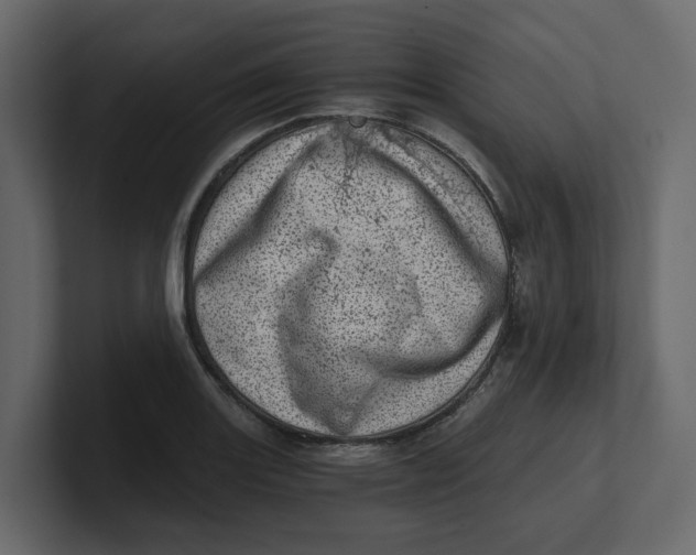 X0000100901131200807151112