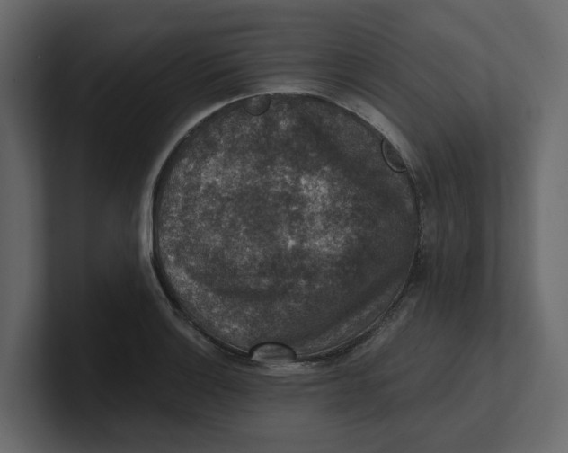 X0000100901132200807151112