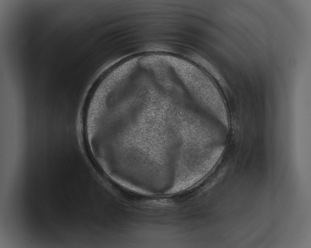 X0000100901133200807151112