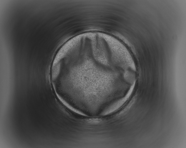 X0000100901137200807151112