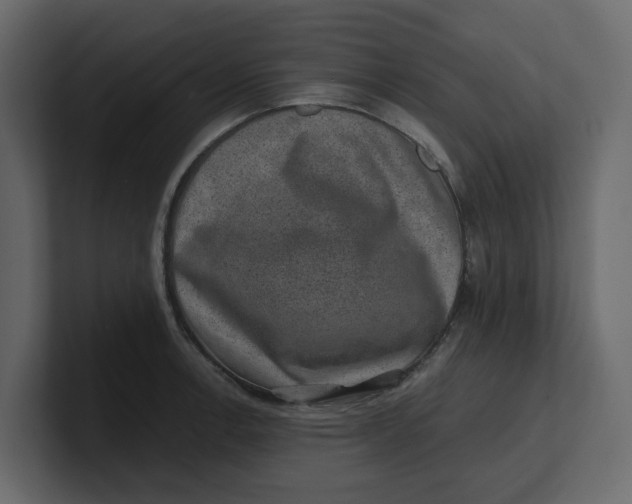 X0000100901138200807151112