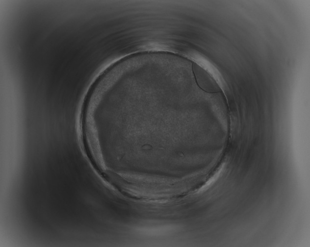 X0000100901141200807151113