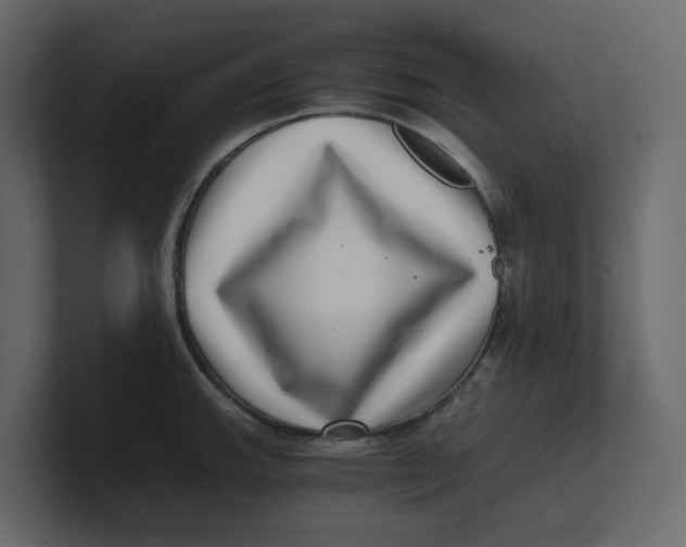 X0000100901143200807151113