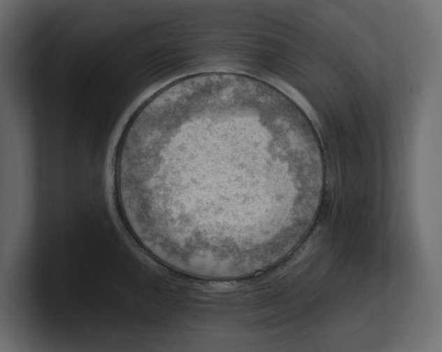 X0000100901144200807151113