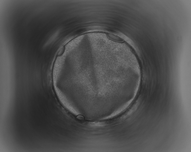 X0000100901145200807151113