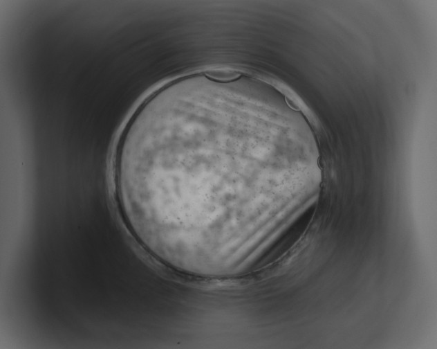 X0000100901148200807151113