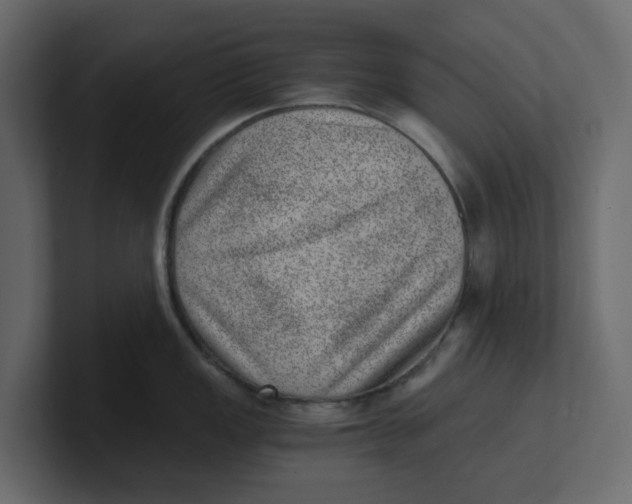 X0000100901149200807151113