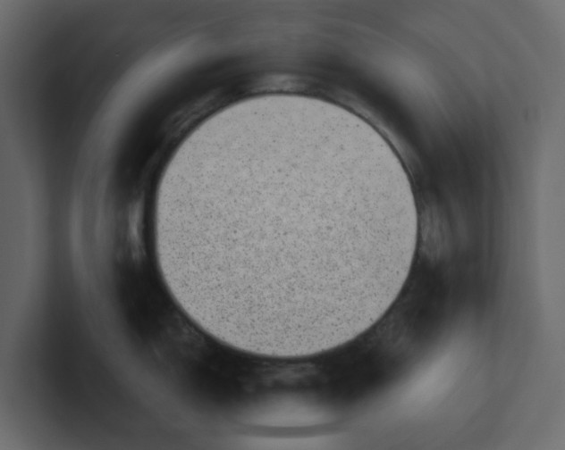 X0000100901150200807151113