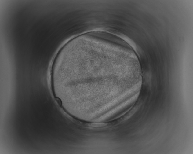 X0000100901151200807151113