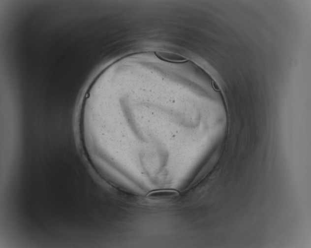 X0000100901152200807151113