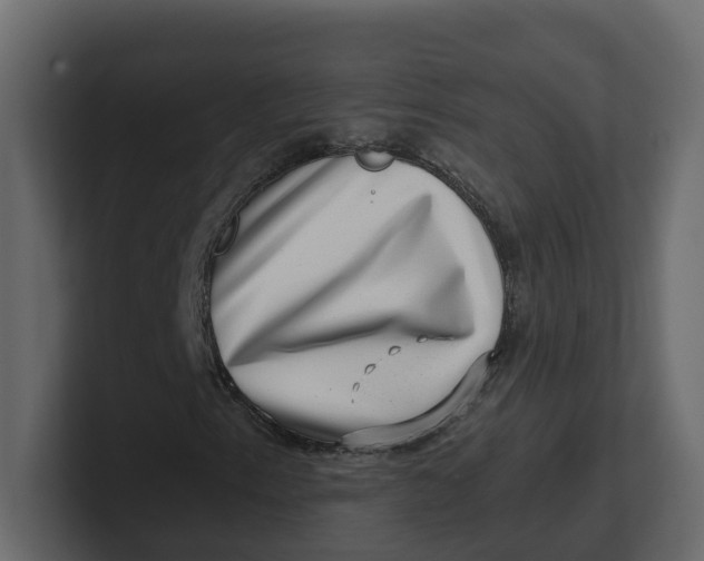 X0000100901153200807151112